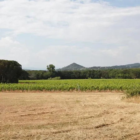 Holiday home Bastide Les Esperifes Vidauban