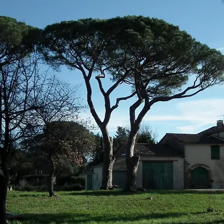 Holiday home Bastide Les Esperifes *