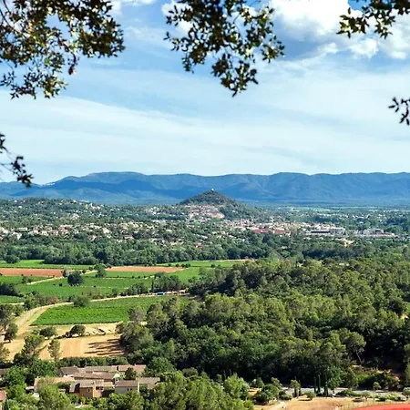 Holiday home Bastide Les Esperifes Vidauban